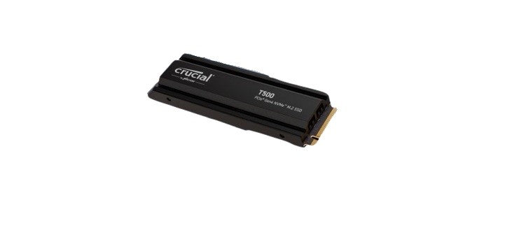 2x CRUCIAL T500, 1TB, PCIe Gen4 NVMe M.2 SSD, heat sink
