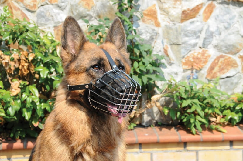 2x Dingo Metal muzzle For Dog Size 8 Brand Dingo