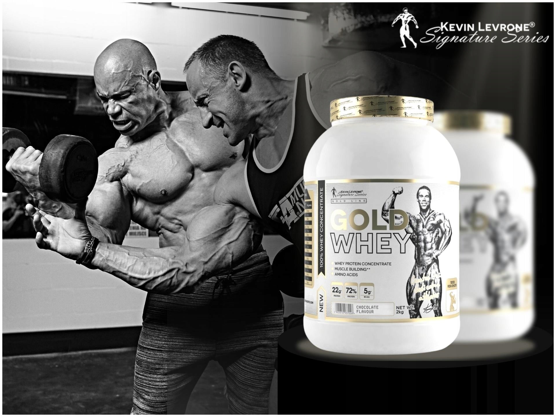 2x Kevin Levrone Gold Whey 2000g PROTEIN STRENGTH Brand Kevin Levrone