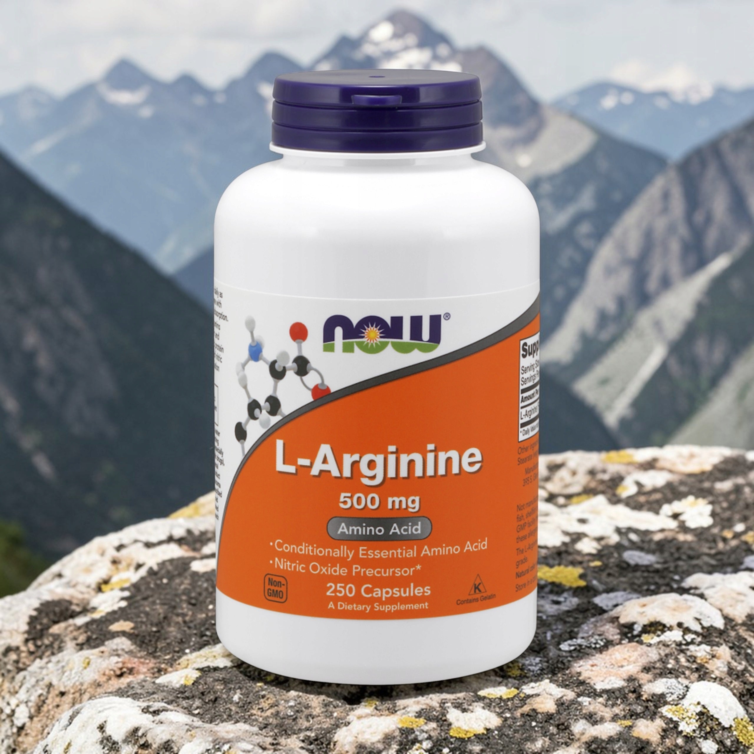 2x L-Arginine NOW FOODS 500mg Amino Acid 250 Capsules Regeneration Pump Brand Now foods