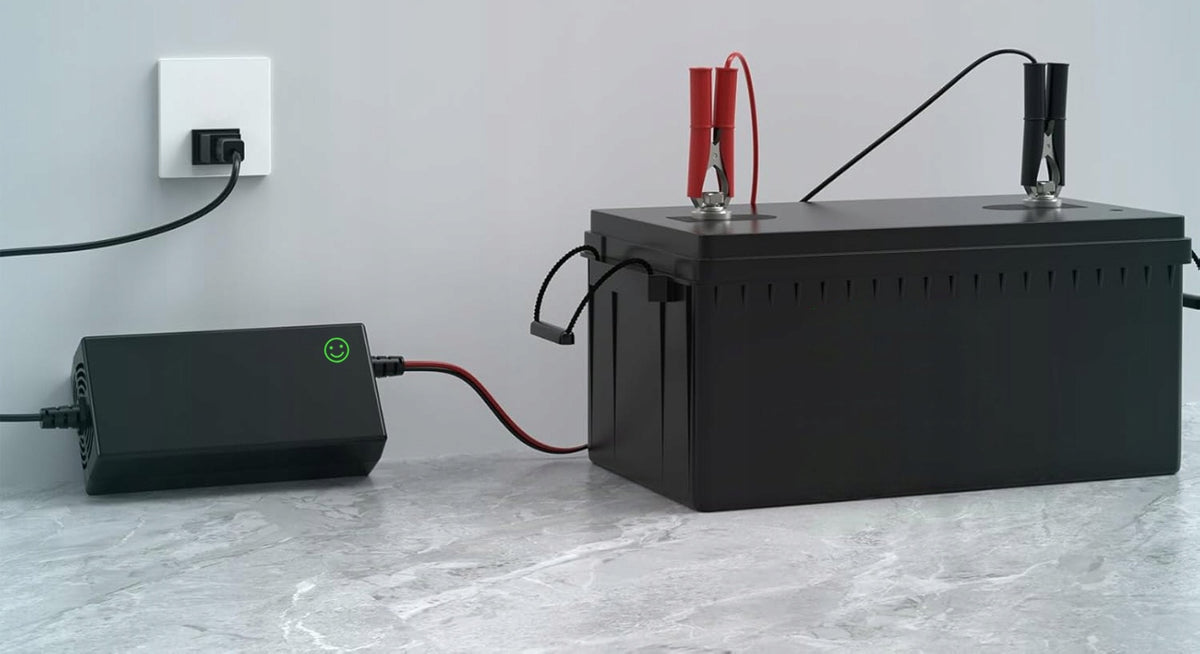 2x Lifepo4 Lithium Battery Charger 12v 14 6v Fast Rectifier 20 Brand LTC