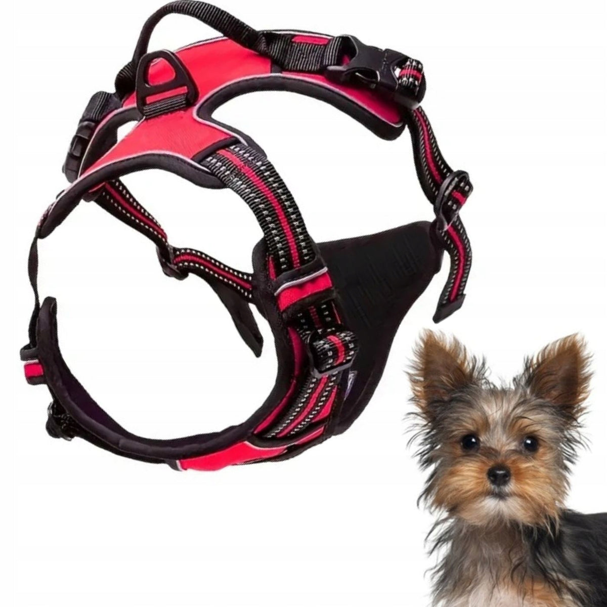 2x Pet Gang Pressure-Free Walking Harness Adjustable Red S For Little P Manufacturer code 5906361439853