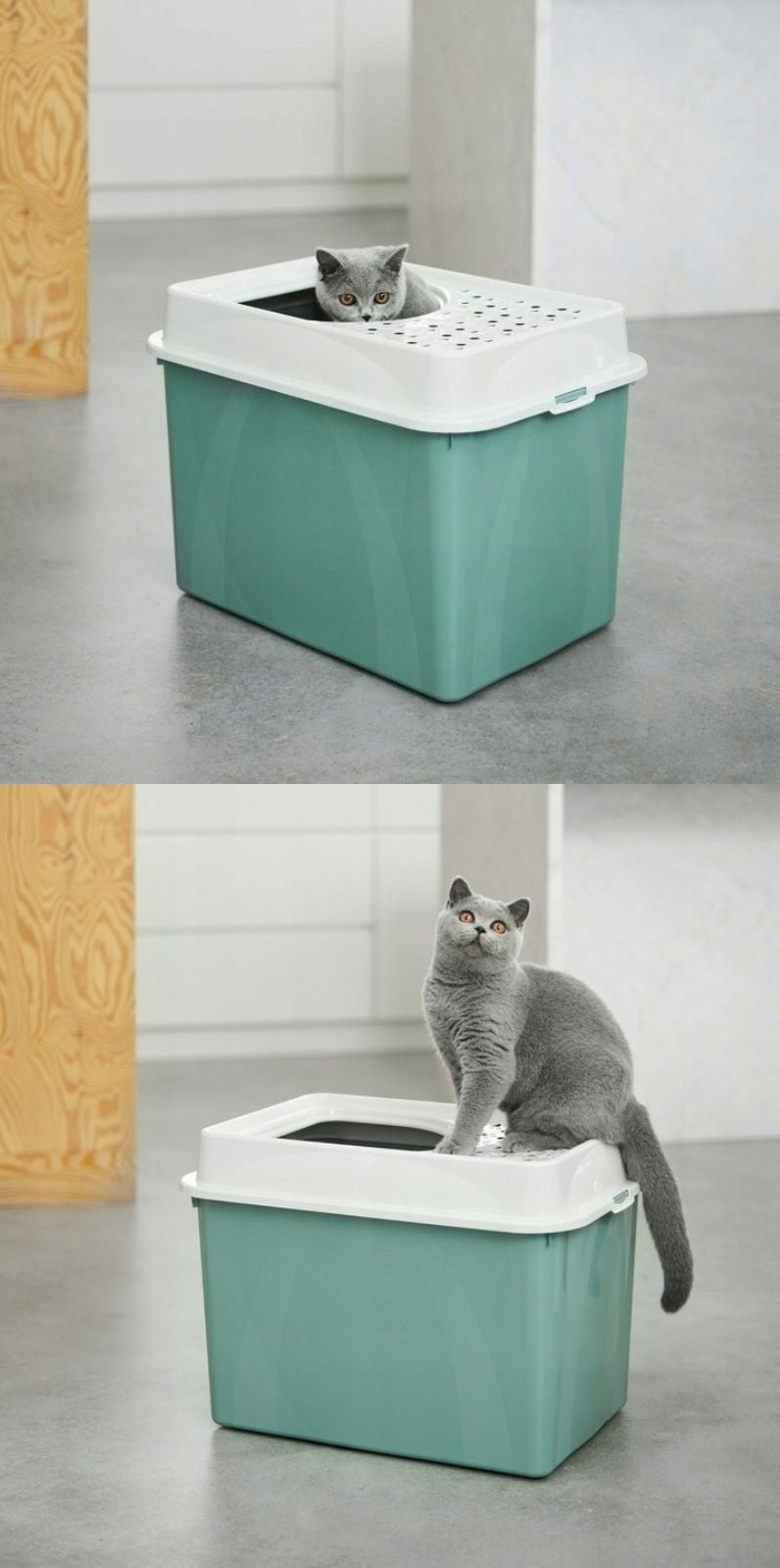 2x Rotho Toilet BERTY Top Entry Eco cappucino cat Manufacturer code 4004607422