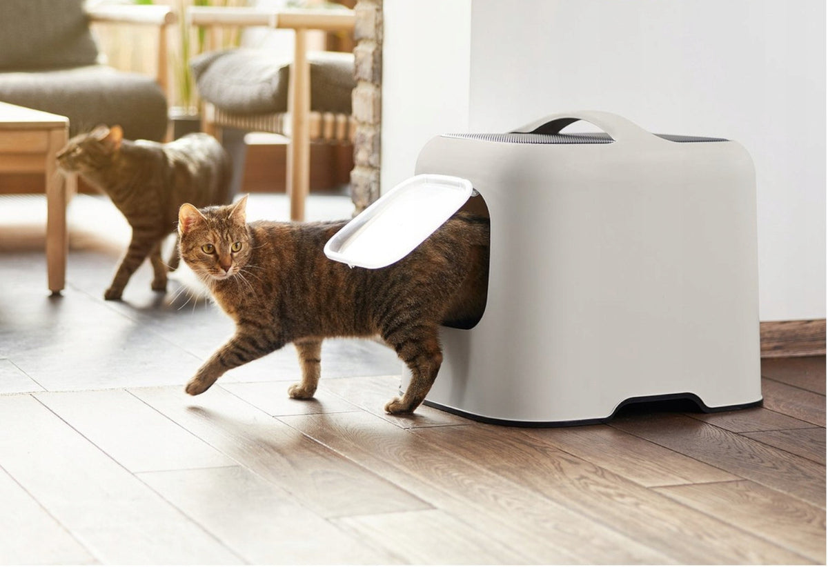 2x Rotho cappucino litter box for cat Brand Rotho