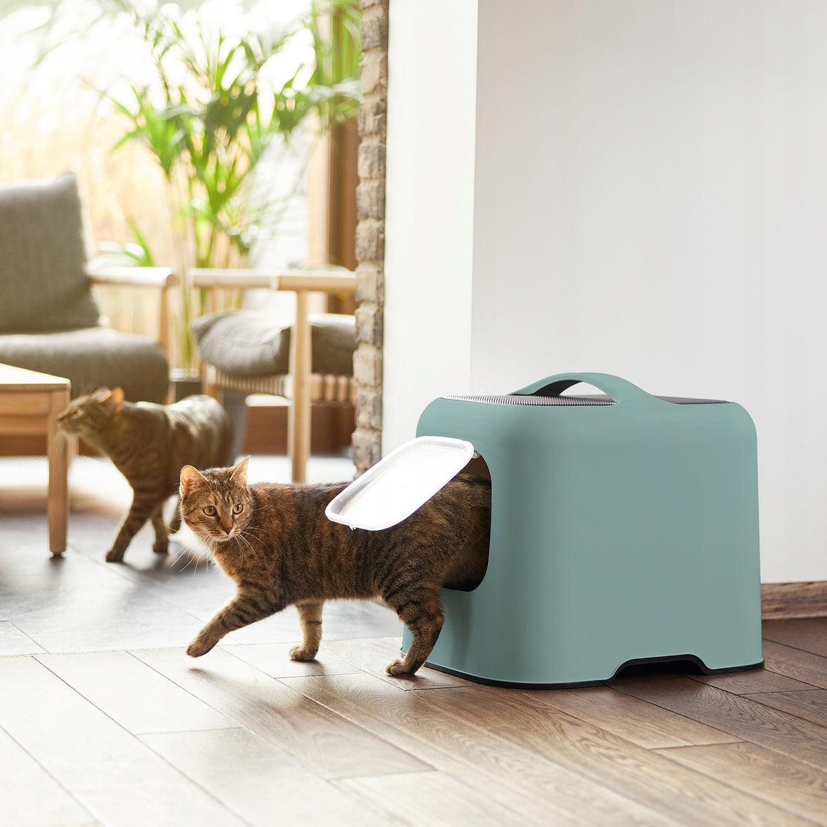 2x Rotho litter box green for cat Brand Rotho