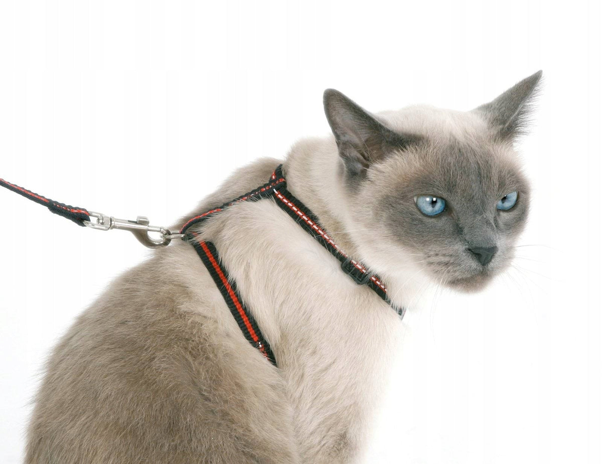 3-Piece Cat Set, Harness, Collar, Leash, Kerbl