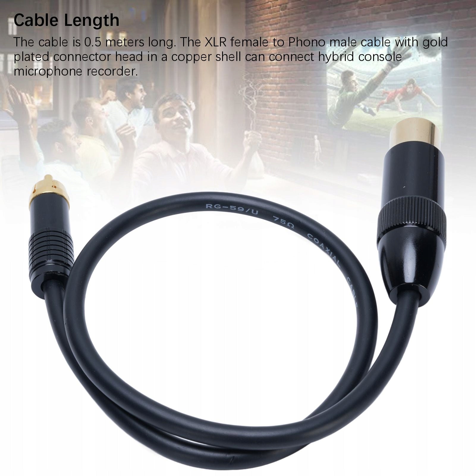 3 -pin XLR stereo cable for fono plug for LP