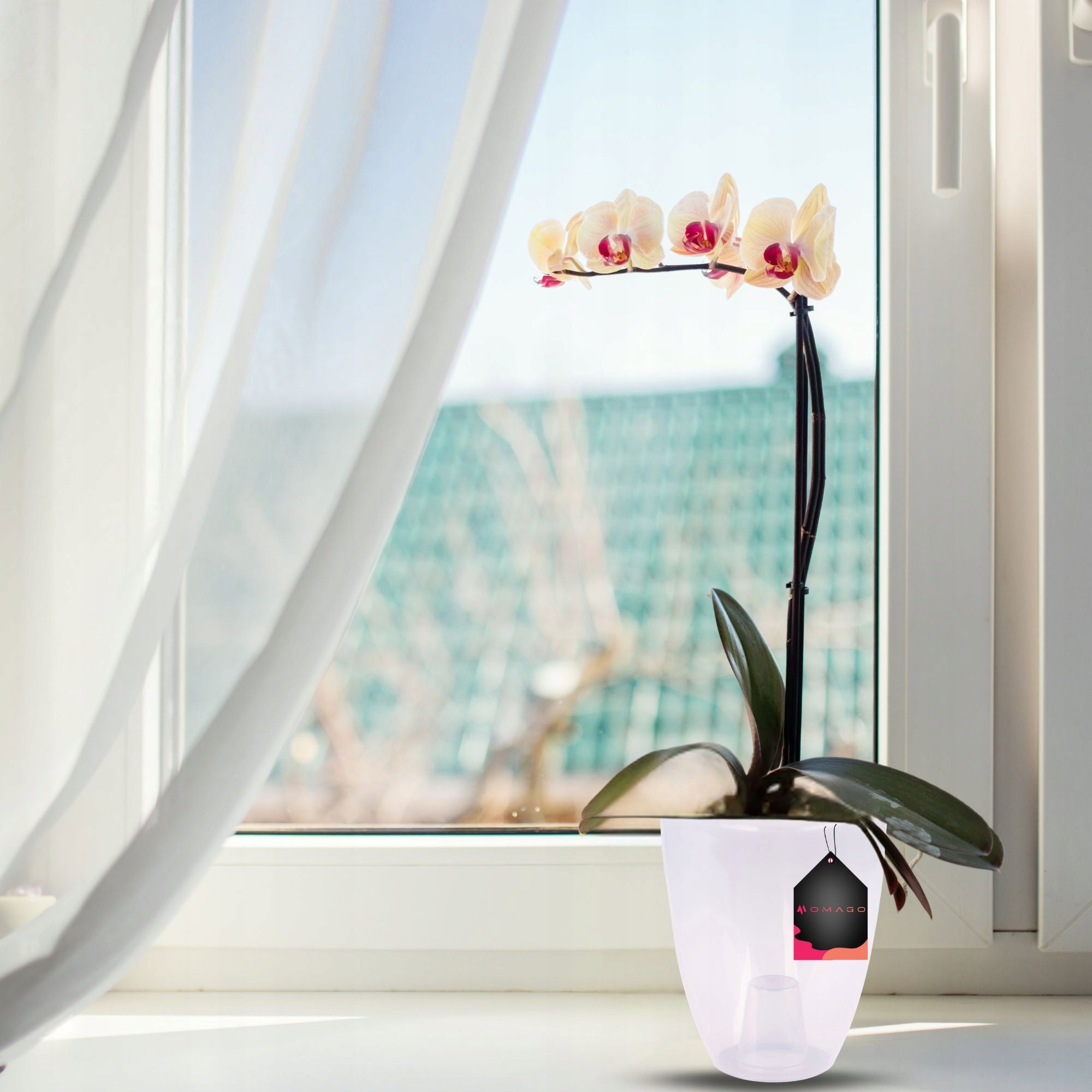 3 x ORCHID POT COVER 12CM TRANSPARENT Packaging status original