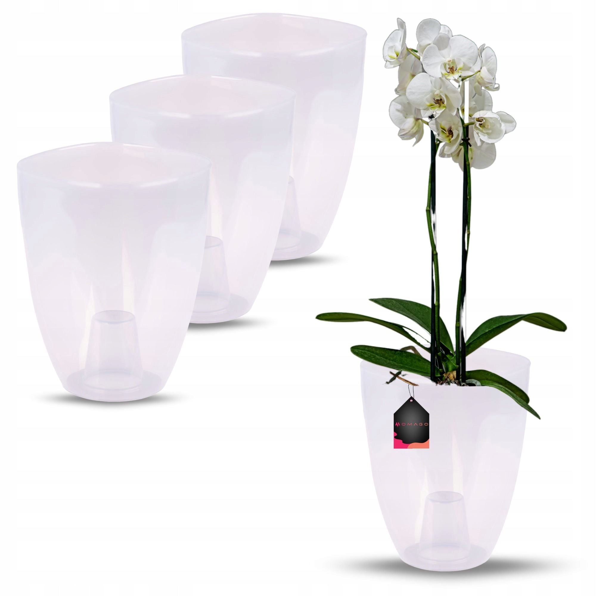 3 x ORCHID POT COVER 12CM TRANSPARENT