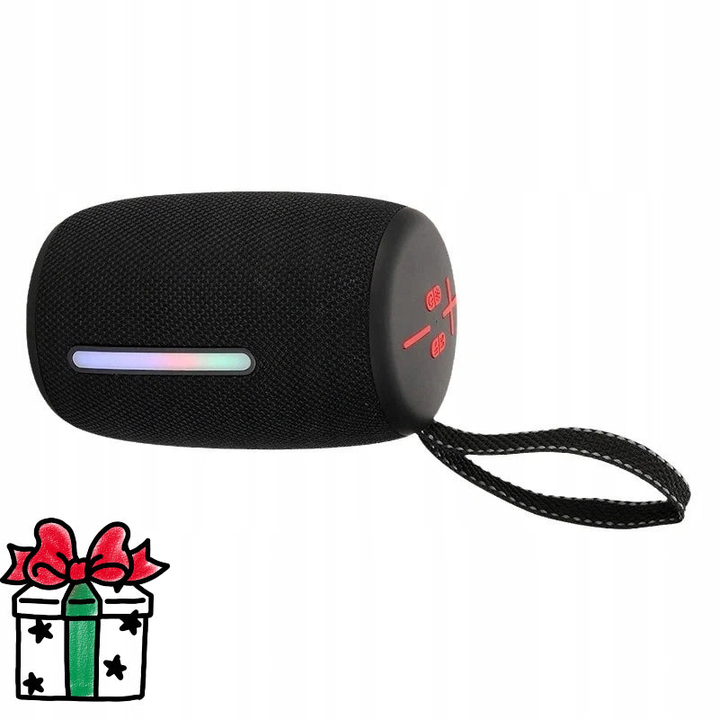 30W PRO3 AUX/TF/USB PORTABLE BLUETOOTH SPEAKER WITH BASS