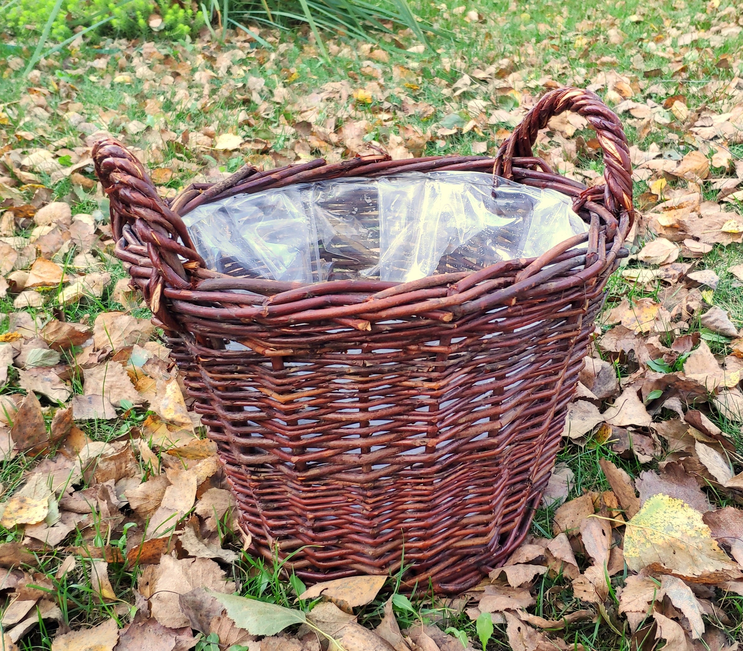 Vazonas iš vytelių, 22 cm, aukštos kokybės