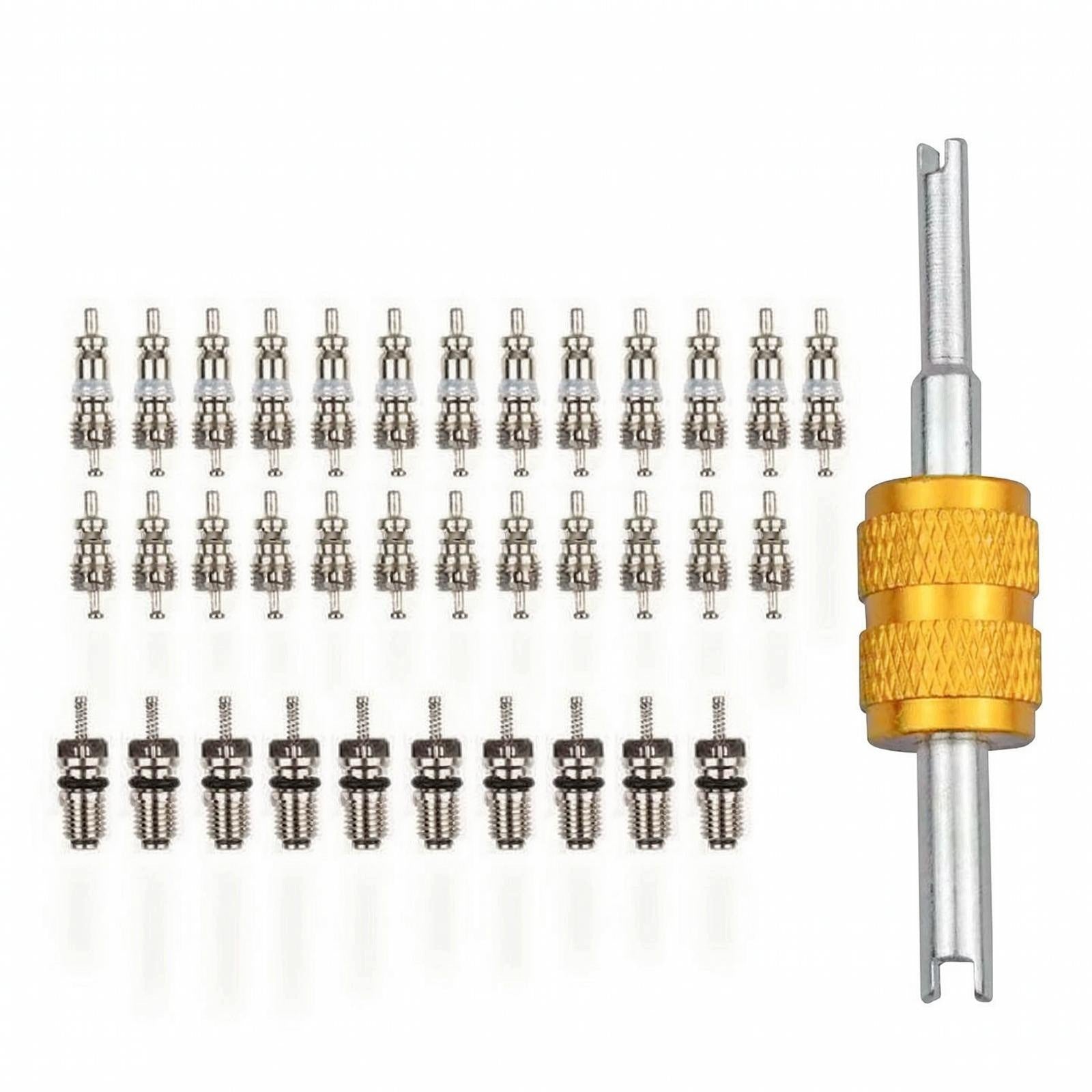 36 Pieces Insert Core Kit with Remover Tool Automotive Insert 36-pc Box