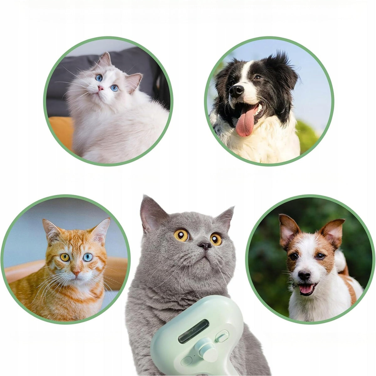 3IN1 CAT STEAM BRUSH ELECTRIC STEAM BRUSH FOR DOG-GREEN Manufacturer code ZCZOTKA PAROWA Z NIEBIESKI ŚWIATŁEM-ZIELONY