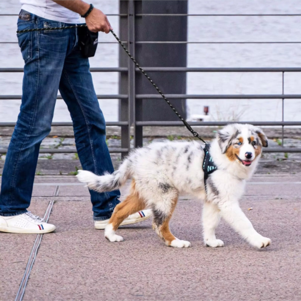 3M DOG LEASH REFLECTIVE LONG EXTRA STRONG TRAINING THICK DURABLE Brand Pop Pet