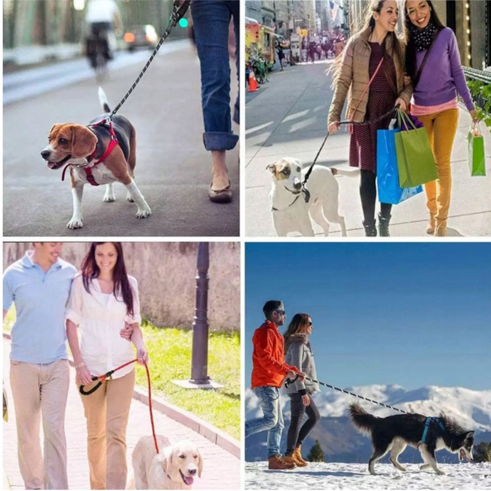 3M DOG LEASH REFLECTIVE LONG VERY STRONG TRAINING THICK DURABLE Manufacturer code 5903263771050