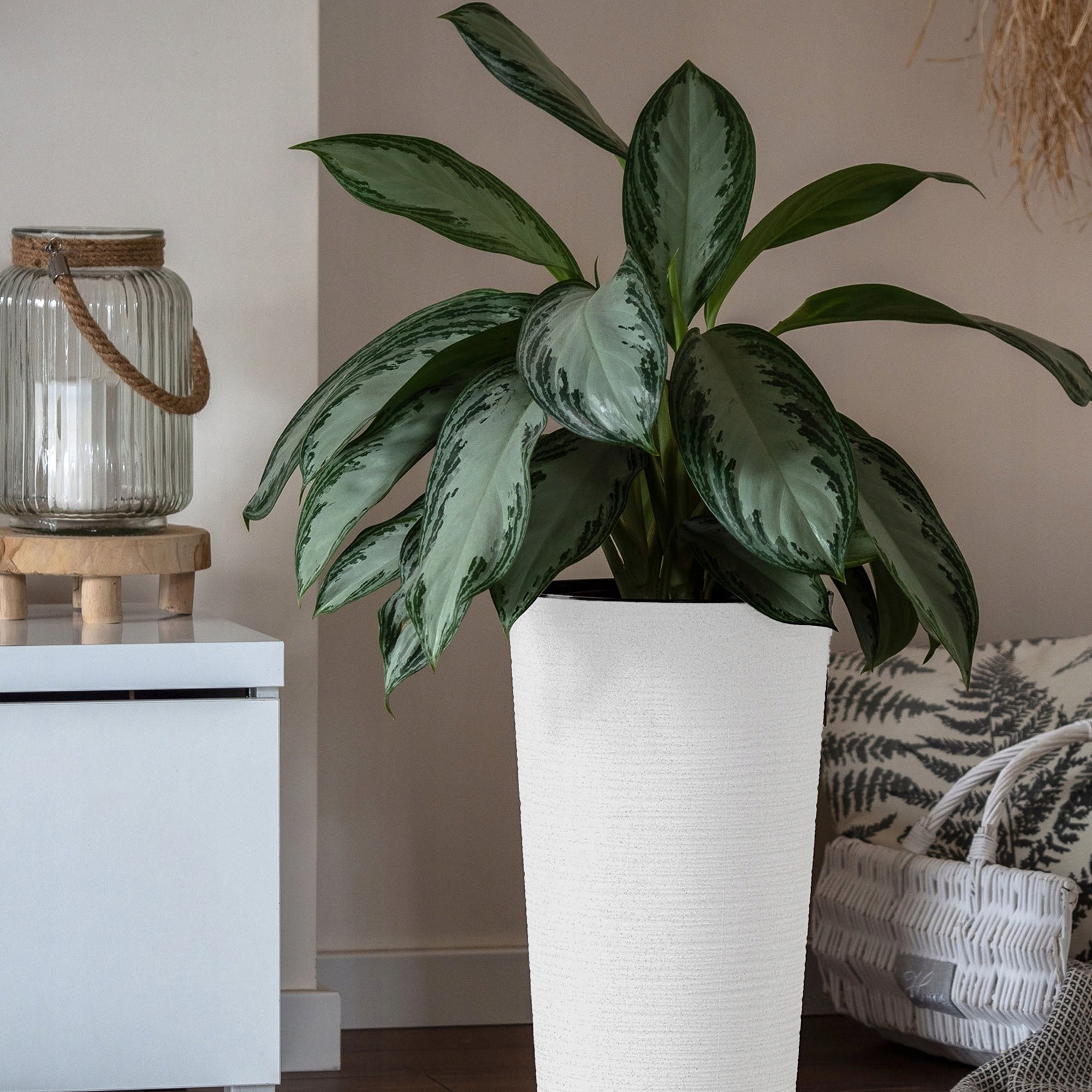 3pcs FLOWER POT 37+47+57 cm GARDEN + CARTRIDGE HIGH LARGE WHITE SET Packaging status original