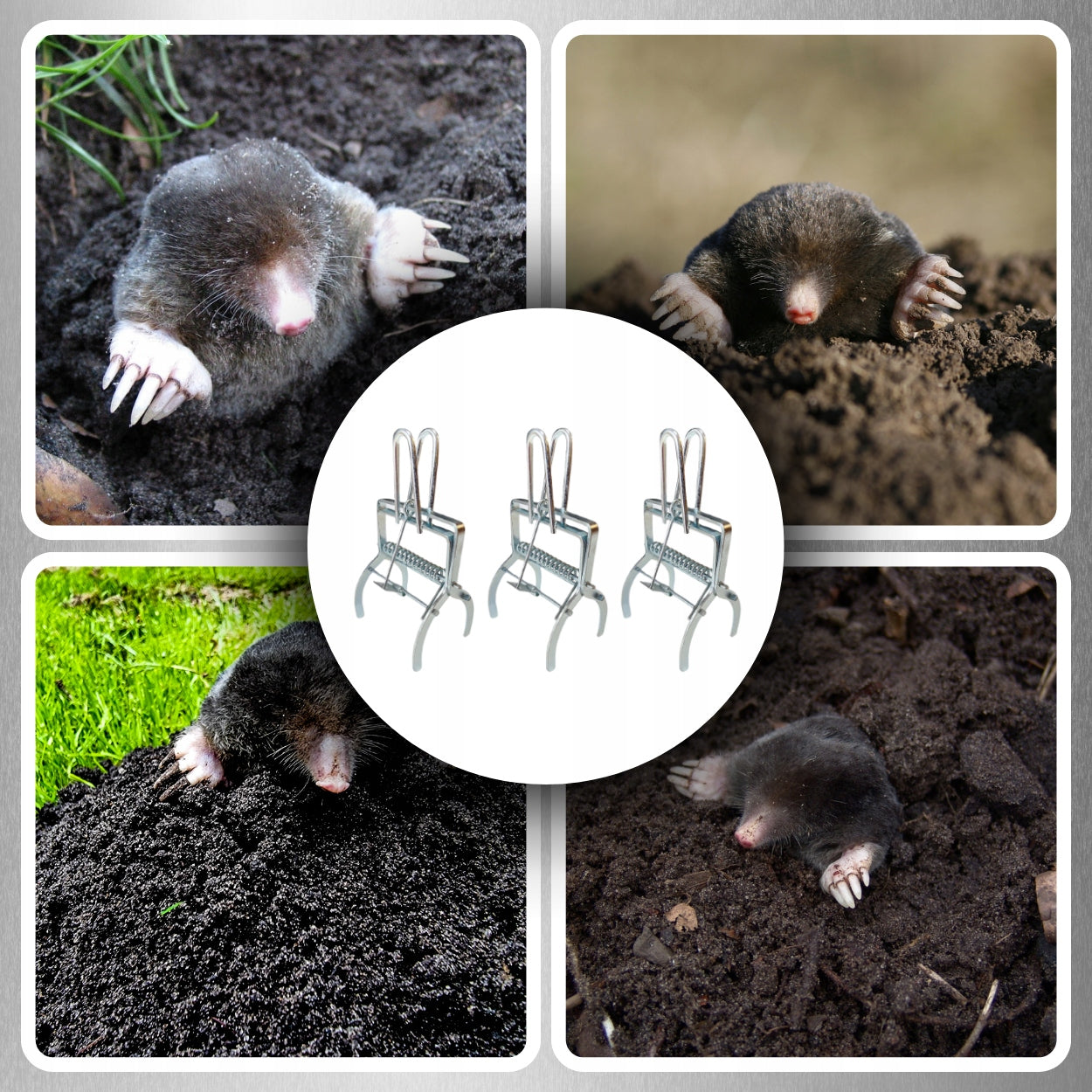 3x MOLE PAW TRAP VOLES PROFESSIONAL METAL GUILLOTINE MOLECATCHER Manufacturer code PUŁAPKA NA KRETY NORNICE GILOTYNA SKUTECZNA