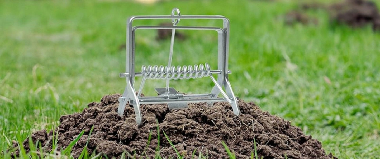 3x MOLE TRAP VOLES PROFESSIONAL PAW METAL GUILLOTINE MOLECATCHER Use Against moles