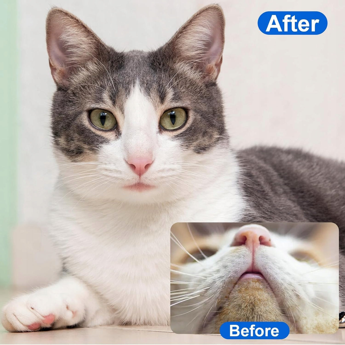 4 CAT BEARD CLEANSING BRUSHES SILICONE SOFT Brand Li