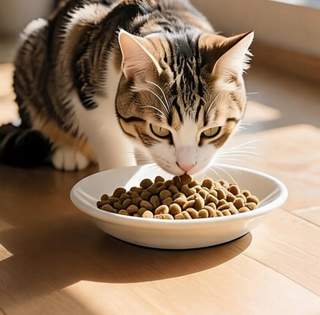 4 PIECES CAT BOWL CERAMIC FLAT LOW WATER BOWL FOOD Kind other