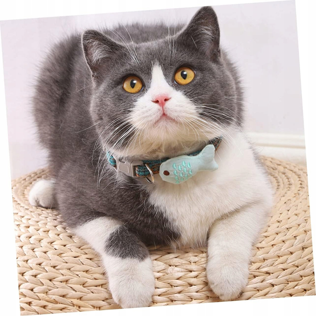 4 Pcs Homemade Small Fish Adjustable Collar Obro Brand no brand