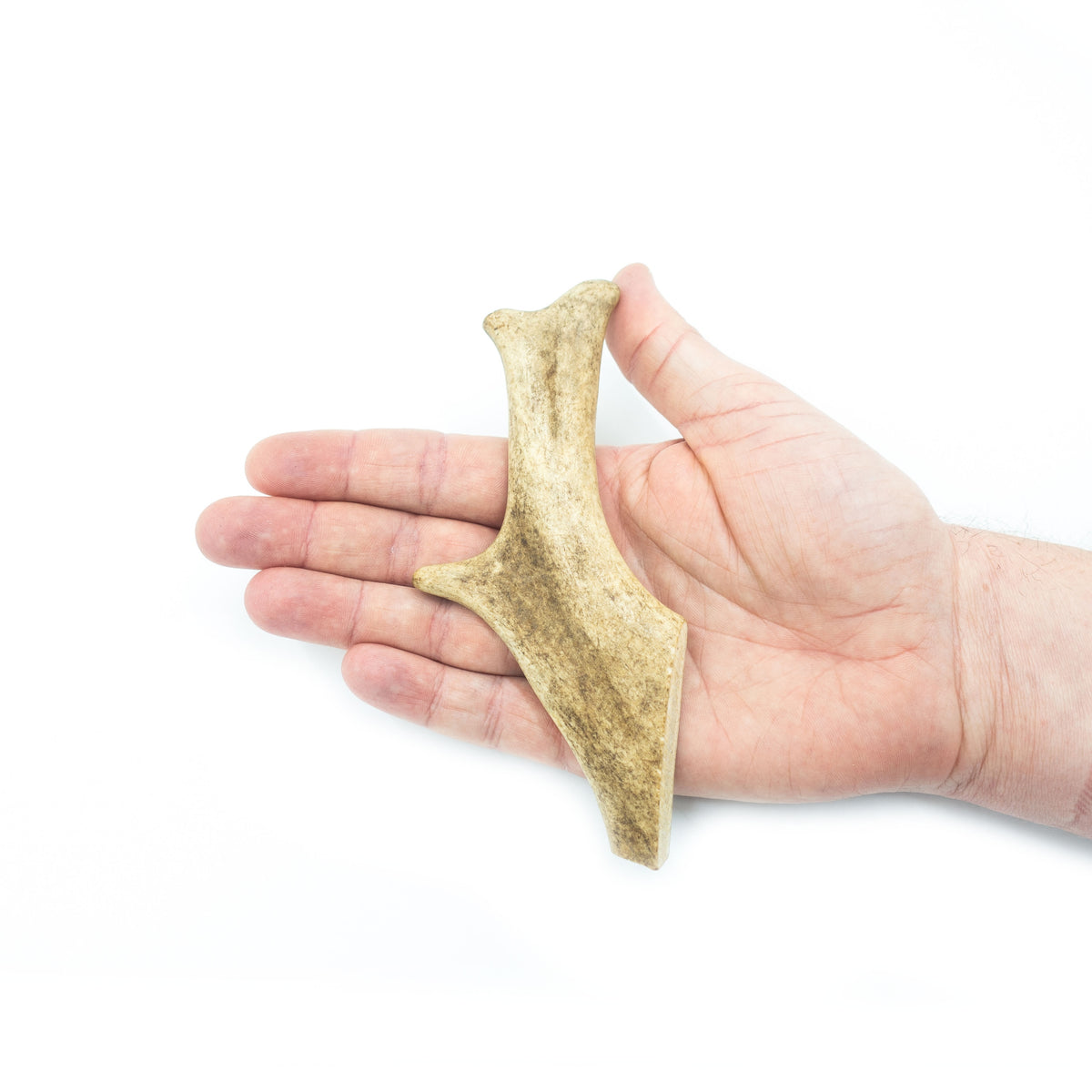 4DOGS Antlers Teether - fallow deer antlers M
