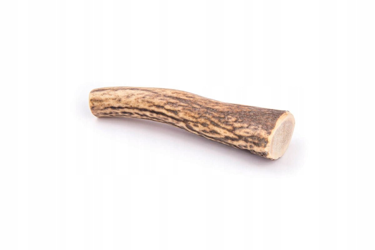 4DOGS Teethers toy deer antlers whole M 12 cm