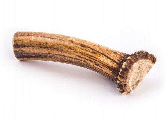 4DOGS XXL easy antler teether Flavor deer