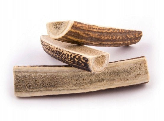 4DOGS XXL easy antler teether