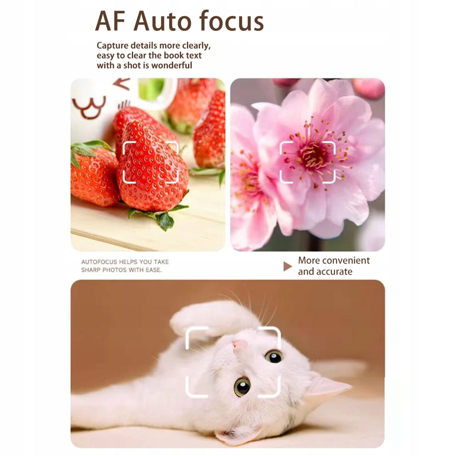 4K/30fps 64MP Digital Camera 2,4 Inch 18x Digital GC Screen Model 3770IZOK