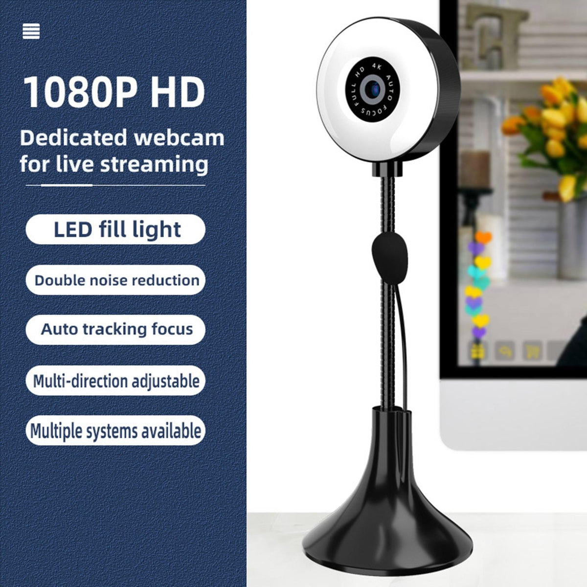 4K Multi Directional with Microphone Non 1080p