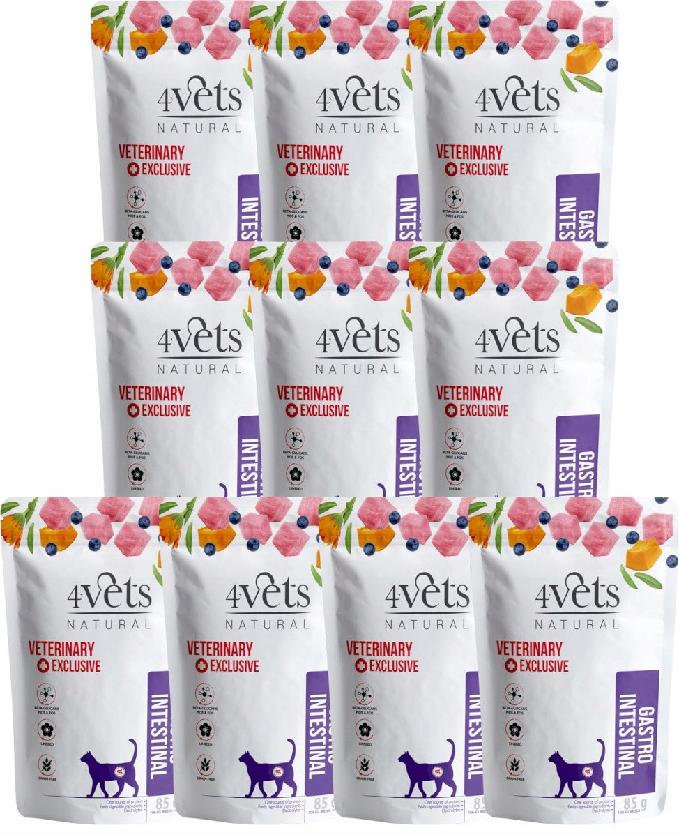 4VETS Natural GASTRO INTESTINAL for cat 10x85g