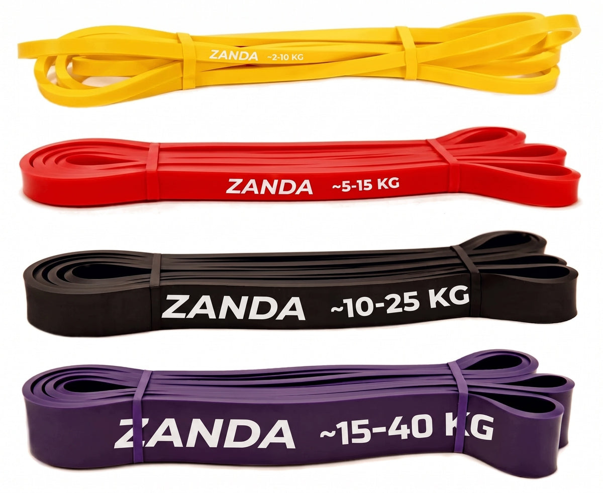 4X RESISTANCE RUBBER POWER BAND SET OF 4 FOR EXERCISE GYM POUCH EBOOK Manufacturer code PZ_101