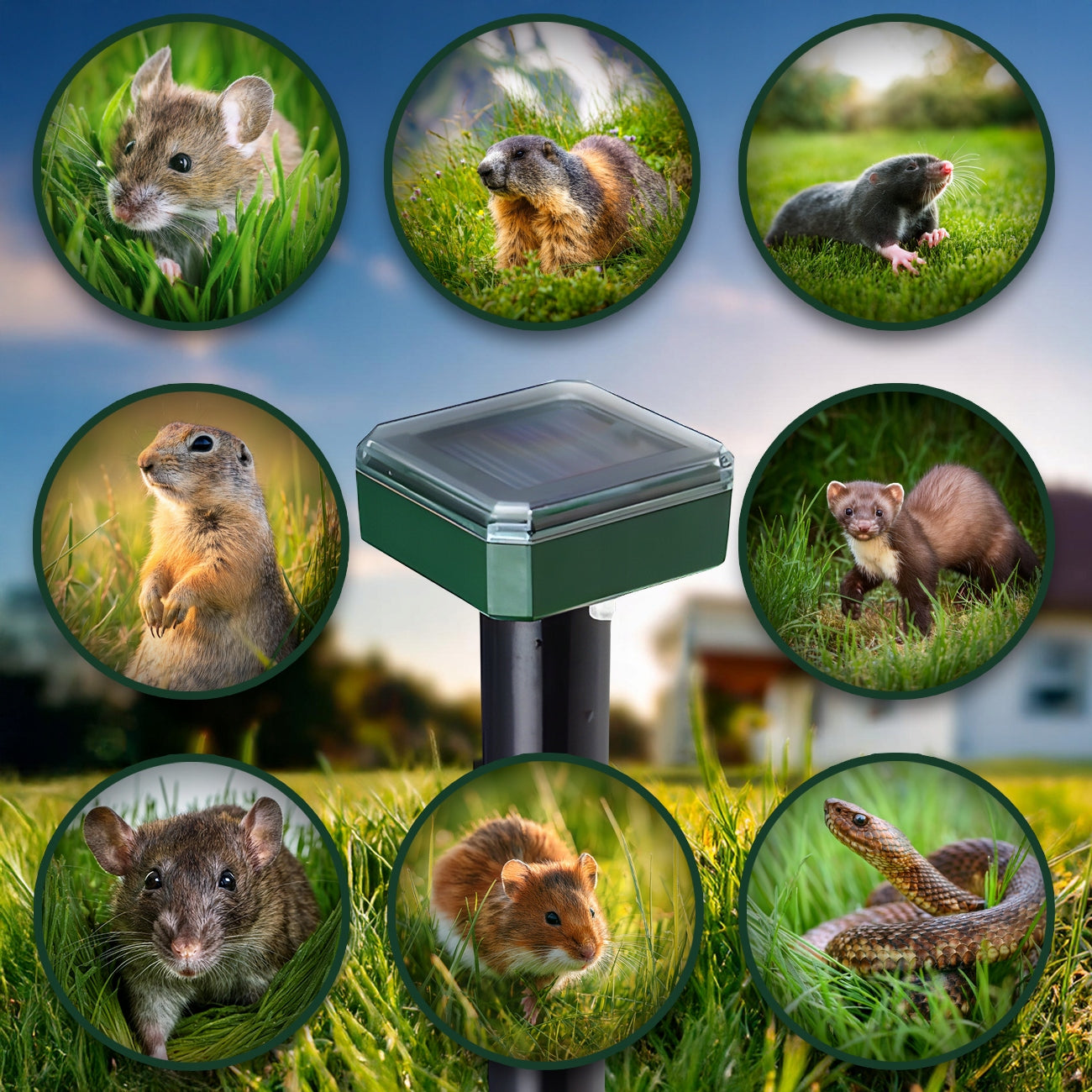 4X STRONG MOLE REPELLENT VOLES MICE MARTENS SOLAR RODENTS 3400m² Kind repellent