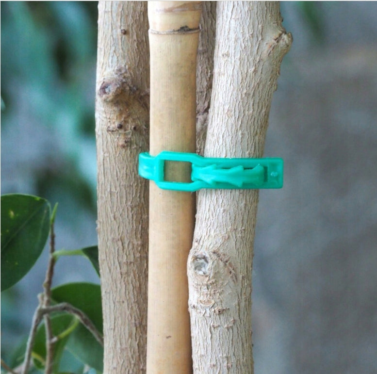 Plokščios žalios augalų tvirtinimo juostelės, 17 cm, 100 vnt.