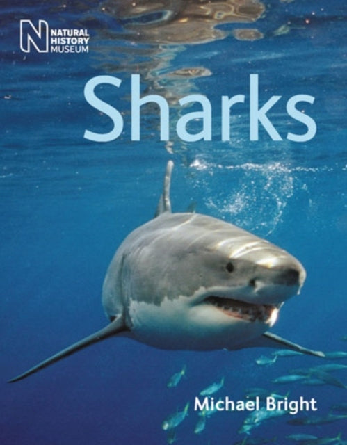 Sharks Revised and reformatted ed with the latest research, new images and up-to-date text