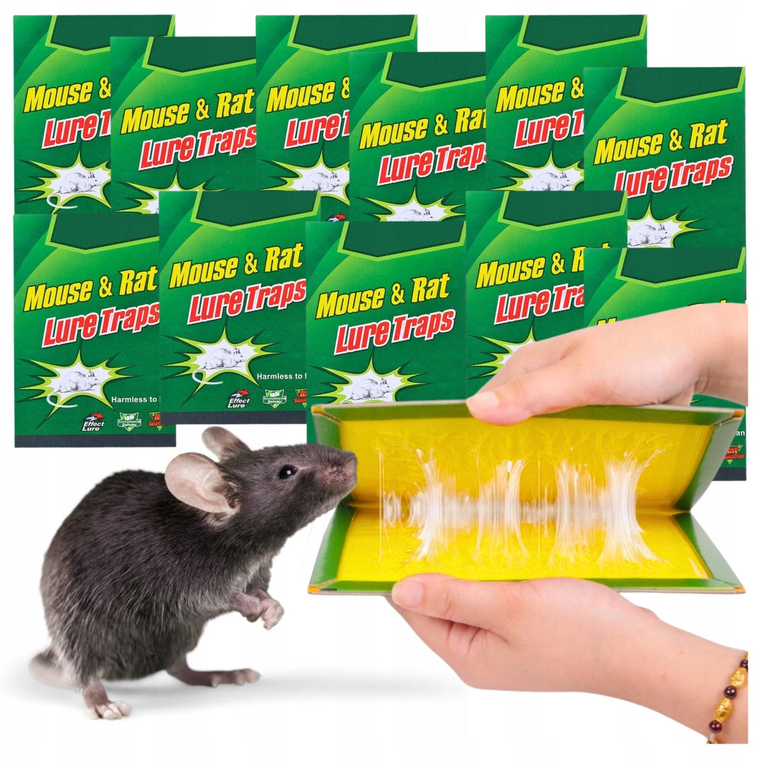 50x LEP on mouse RATS strong trap STRONG GLUE Aroma MOUSETRAP PAW EAN (GTIN) 5908455476201