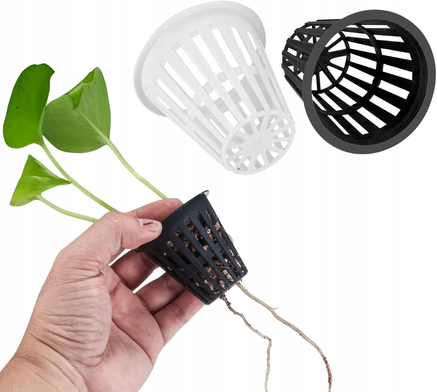 50x MESH POTS HYDROPONICS BASKETS FOR HYDROPONIC SEEDLING CULTIVATION Product height 5.5 cm