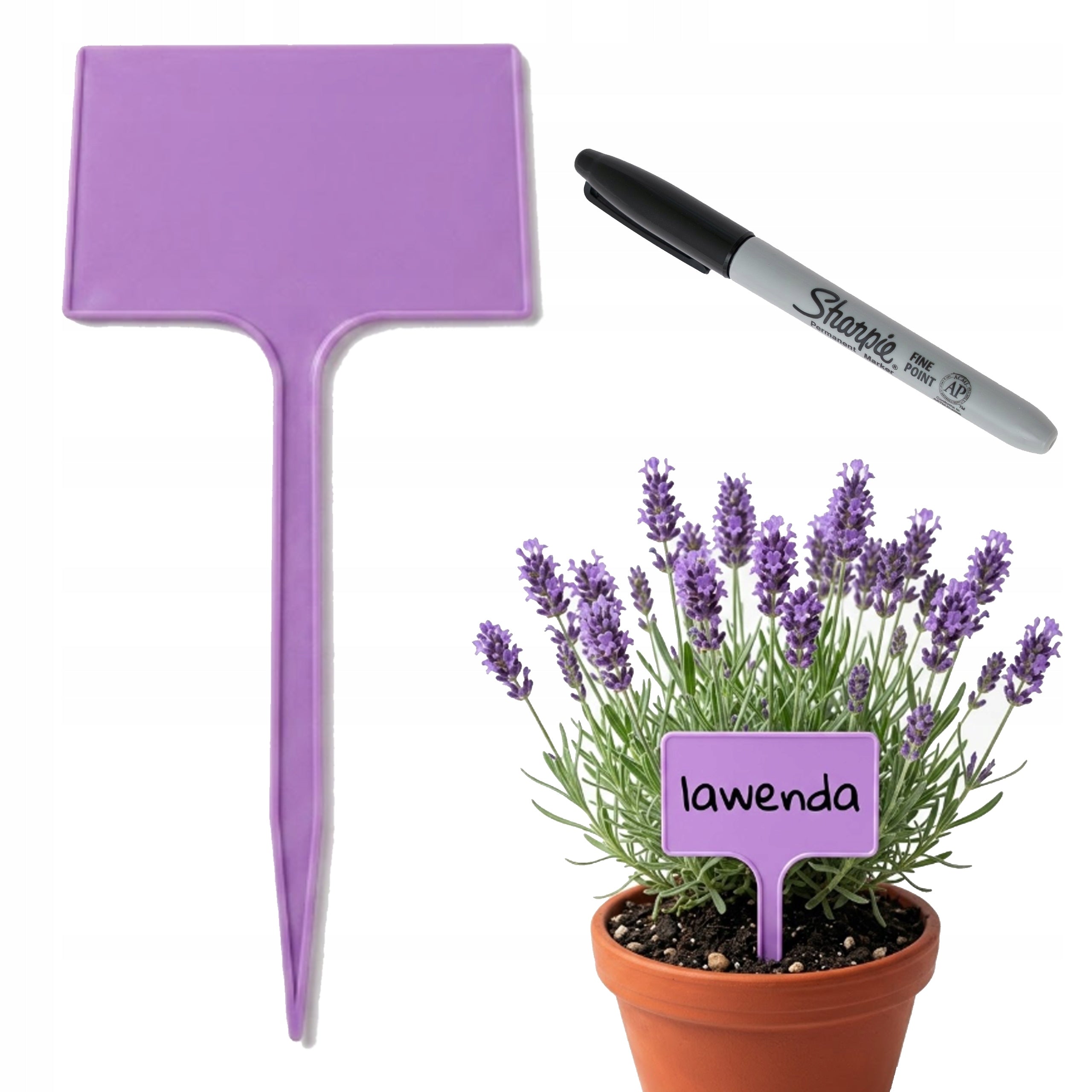 50x PLANT DESCRIPTION PLATE LABEL 7X10,5 PURPLE INFORMATION + MARKER