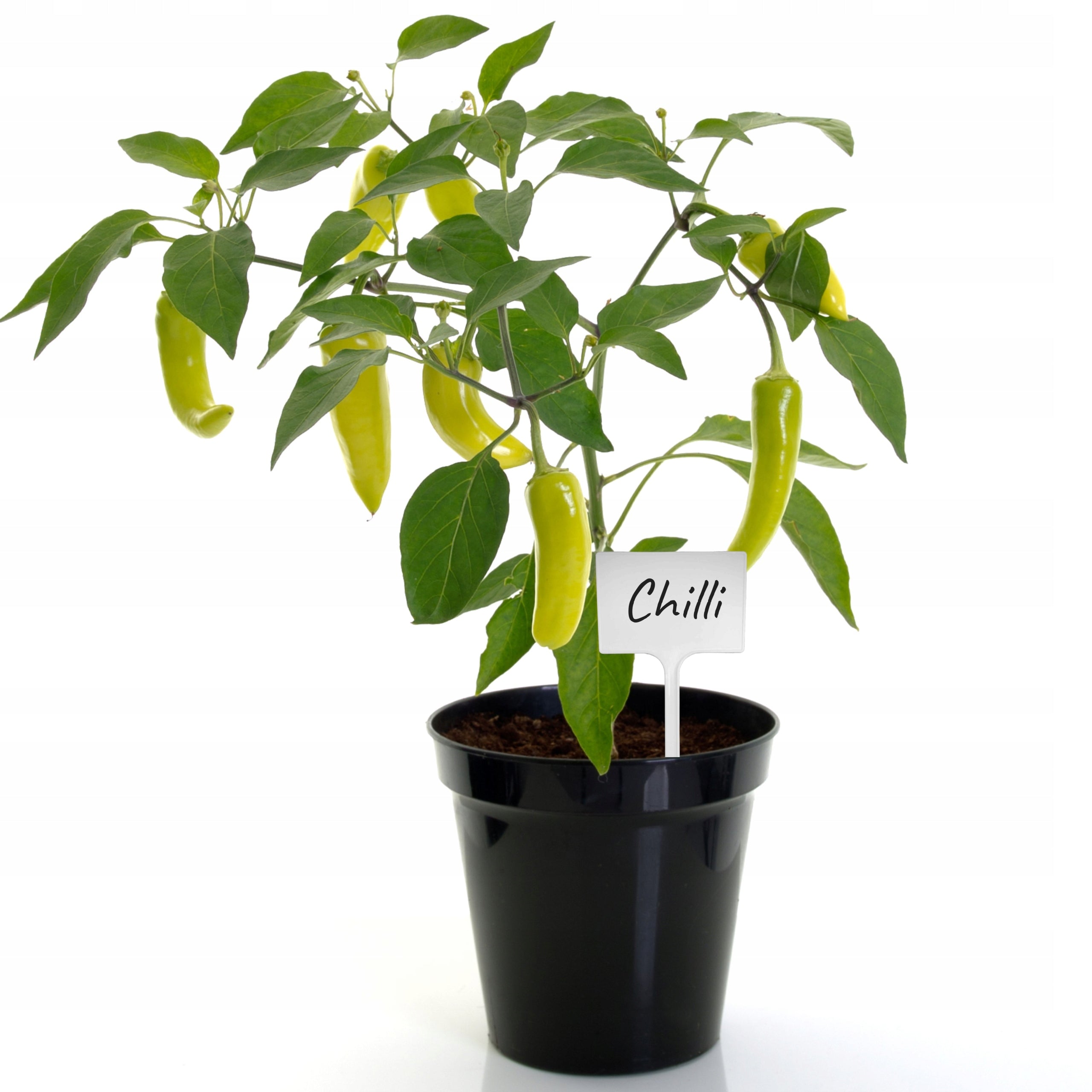 50x PLATE PLATES VEGETABLE PLANT LABEL CROP MARKING + MARKER Product height 22 cm