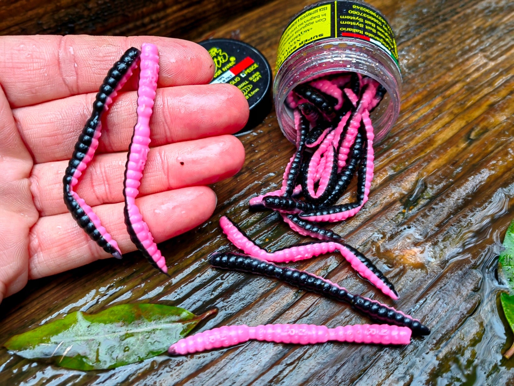 51 pcs Larva 25 mm Area Trout Killer for Trout Brand RIGHETTI BAIT SYSTEM
