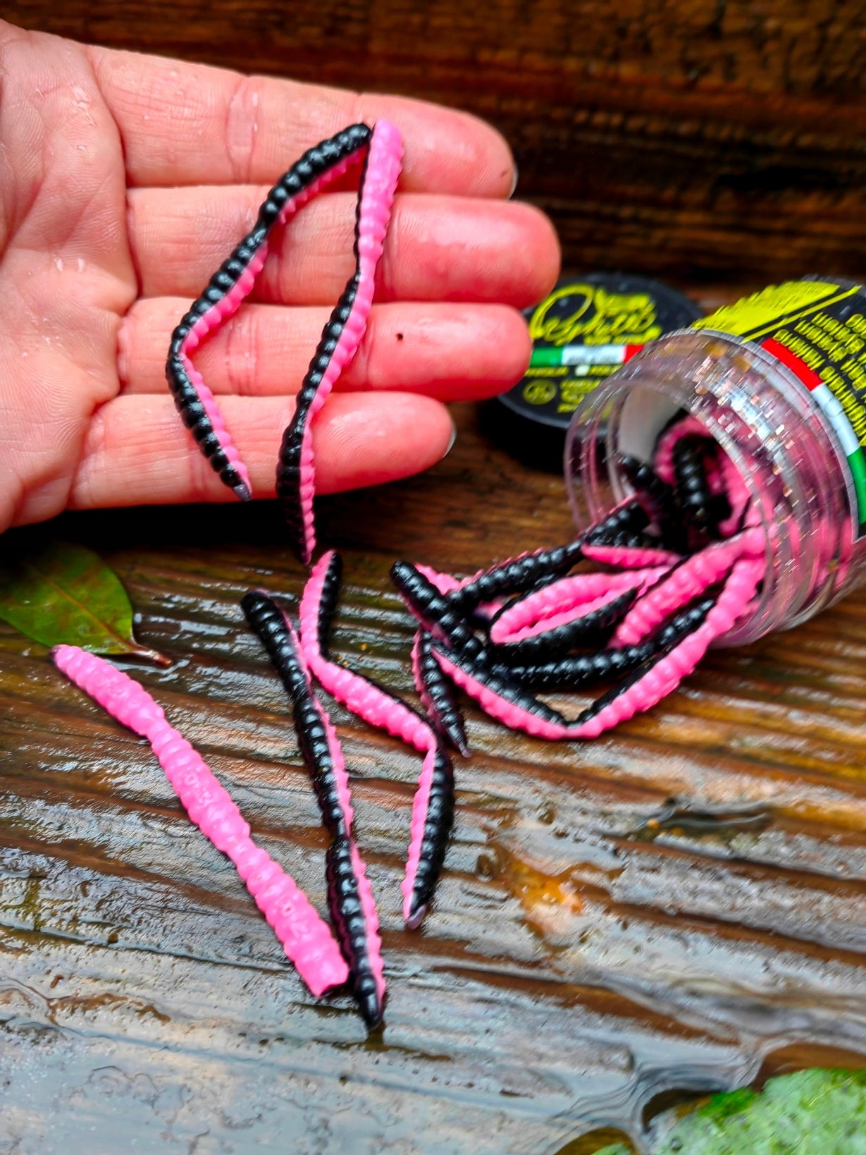 51 pcs Larva 25 mm Area Trout Killer for Trout For ides chubs graylings perches trouts