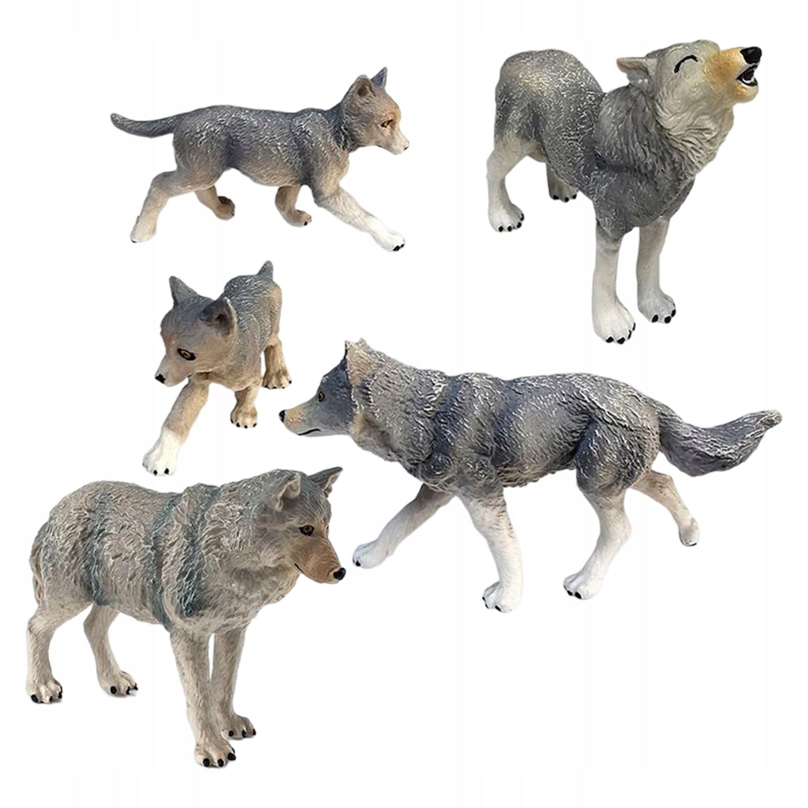 5Pcs Wolf Animal Model Realistic Figurines for Kids Education Ages Years Brand no brand