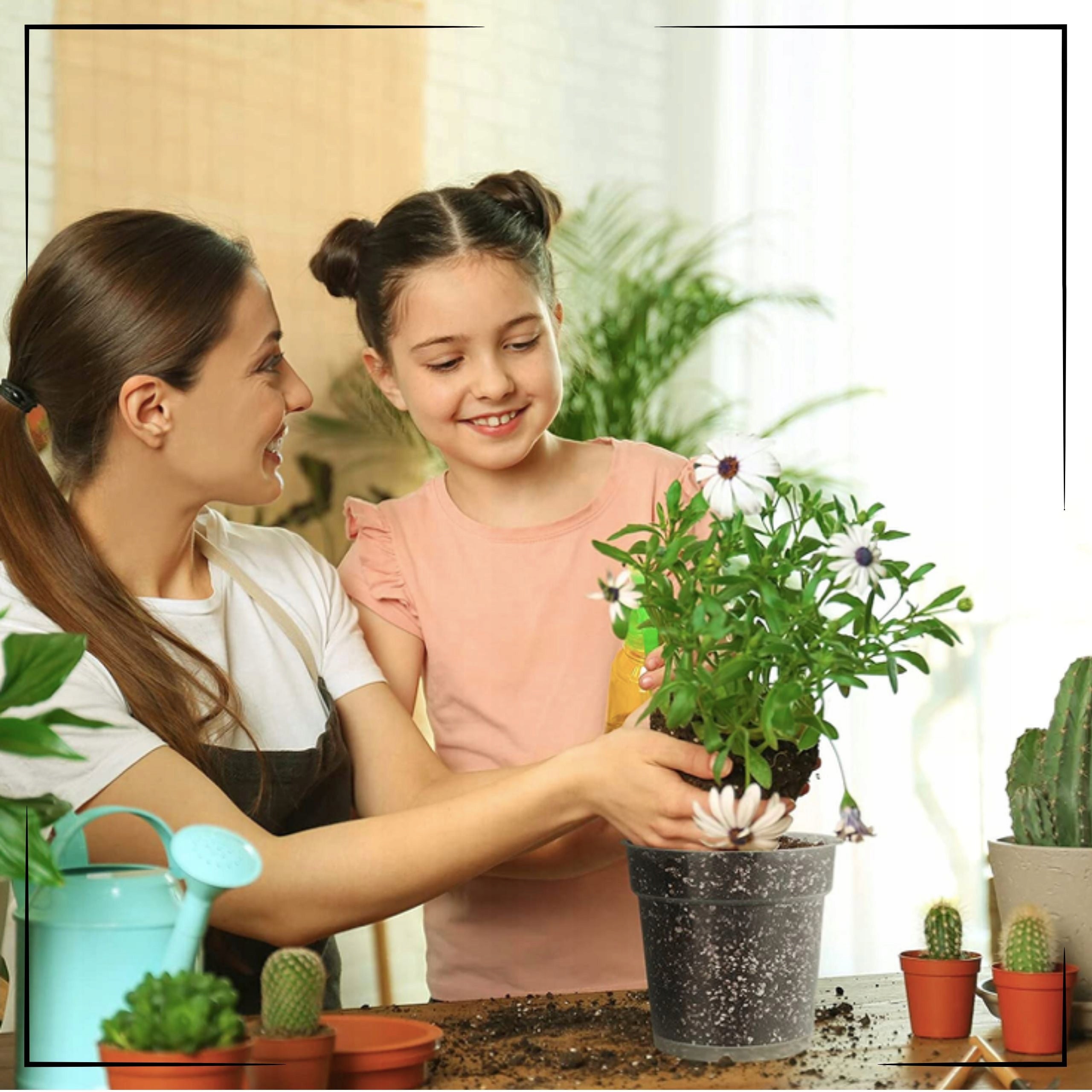 5x Transparent Manufacturing Flower Pot 11,5 cm For Flower Plant Orchids Product width 11.5 cm