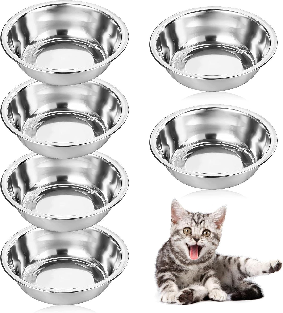 6-PIECE STAINLESS STEEL CAT BOWL SET WIDE PLATE