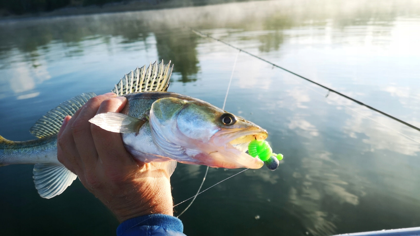 6 pcs. Rubber Boroda Baits Antares 80 mm - 2,7 g for Trout Perches and zanders Number of pieces 6 pcs