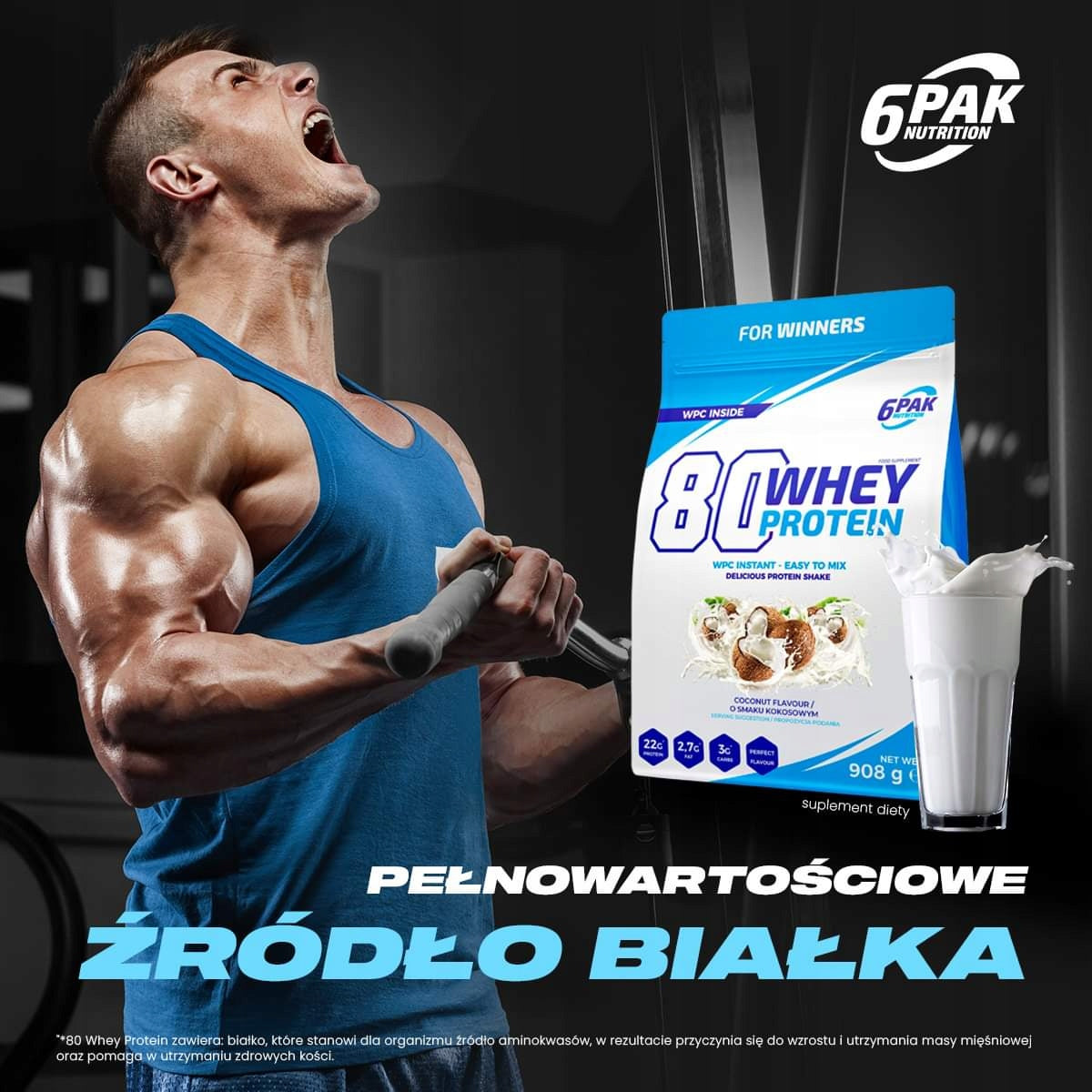 6PAK 80 Whey Protein 908g Protein WPC Protein Conditioner Flavour Hazelnut Expiration date at least six months from the date of purchase
