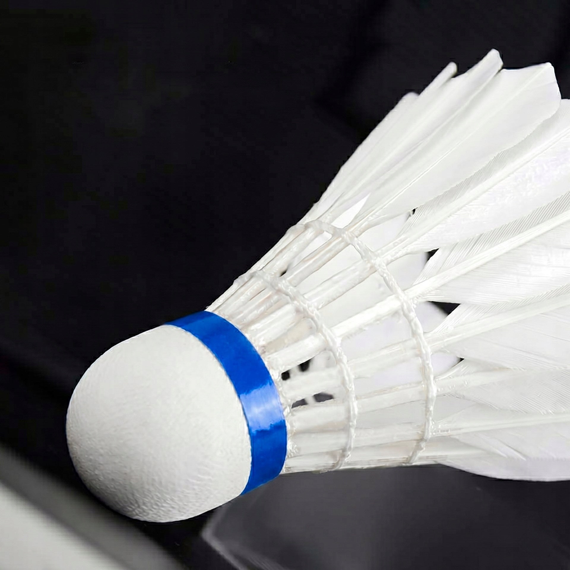 6x FEATHER DARTS FOR BADMINTON FEATHER TUBE 6 PCS SET WHITE DART Kind shuttlecock set