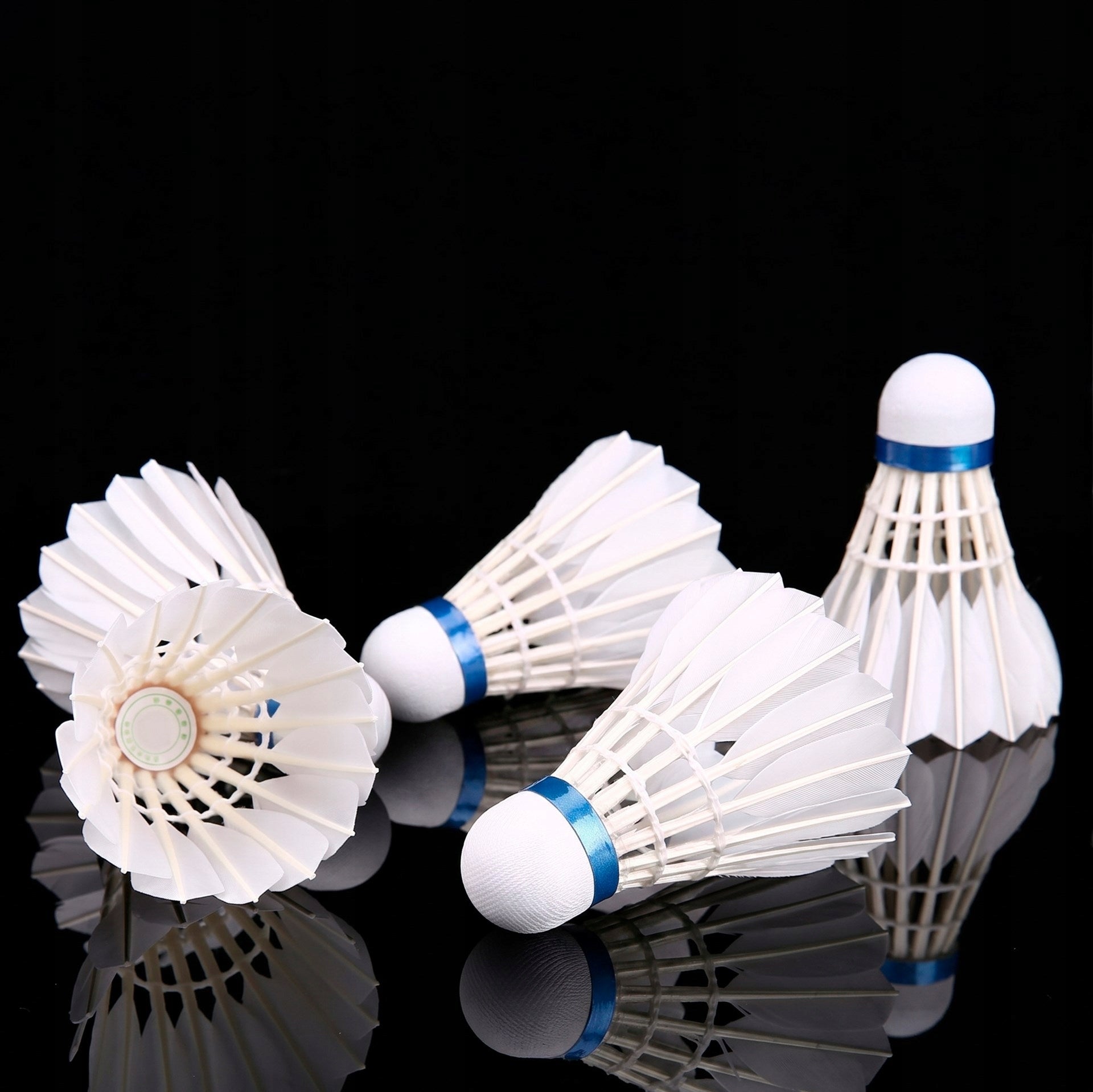 6x FEATHER DARTS FOR BADMINTON FEATHER TUBE 6 PCS SET WHITE DART Model DO BADMINTONA PIÓRKOWE TUBA KOMPLET