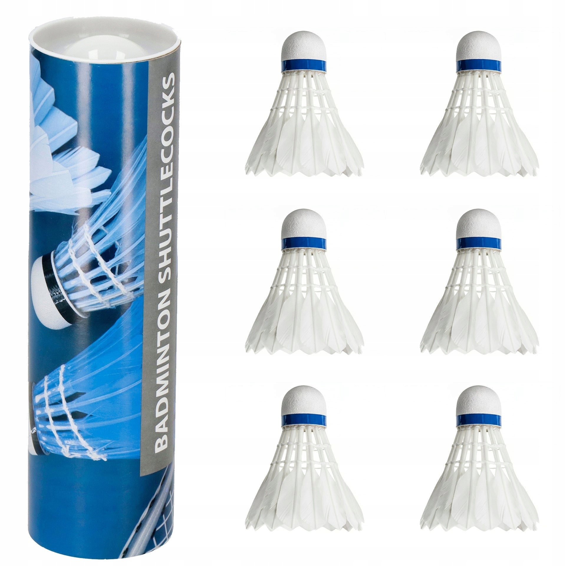 6x FEATHER DARTS FOR BADMINTON FEATHER TUBE 6 PCS SET WHITE DART Number of items in the set 6